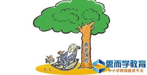 蘇州養老保險信息查詢指南 咨詢電話與便捷途徑